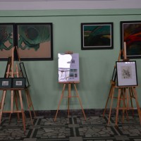 Wystawa Zygmunta Luksandra