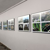 Wystawa prac fotograficznych